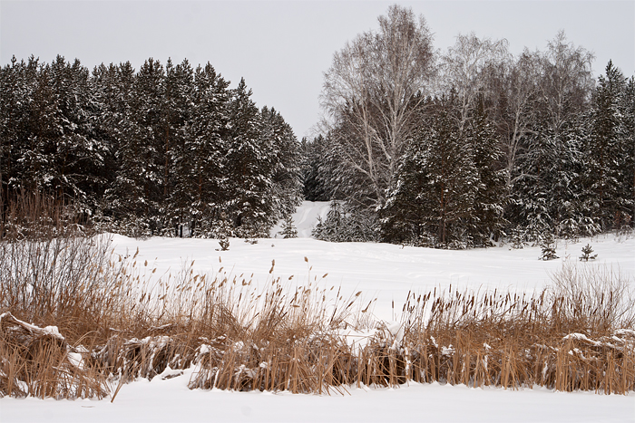 Near Yuzhnouralsk in winter